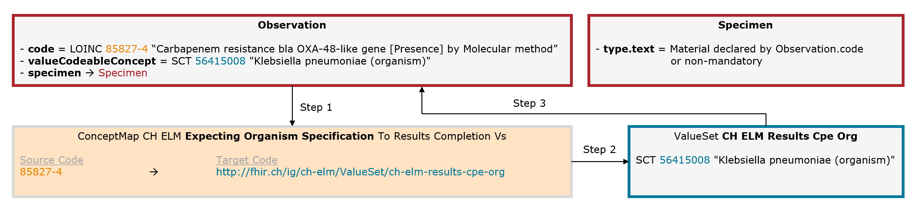 Fig. 8: Schematic illustration of the mechanism for the expecting organism specification (for simplicity, only the relevant elements are shown)