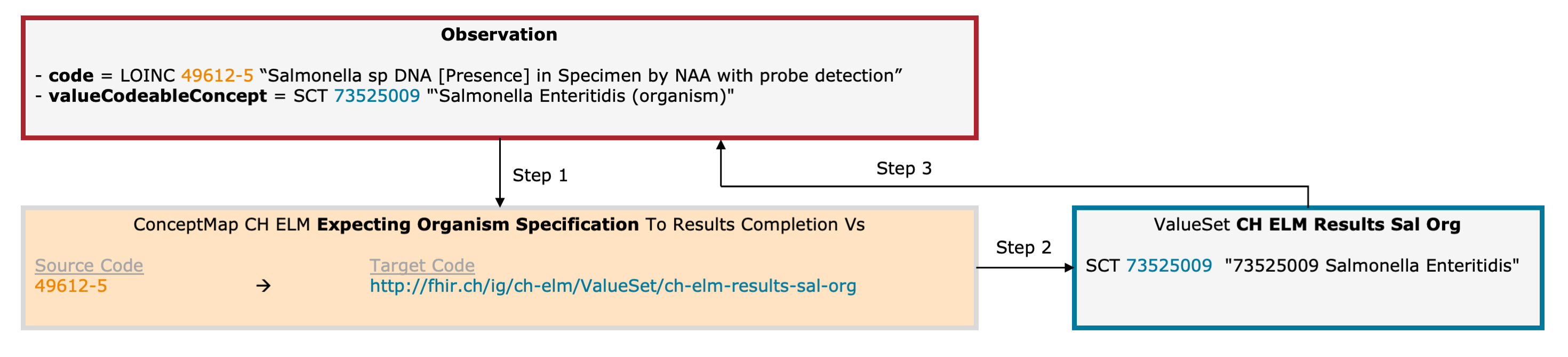 Fig. 8: Schematic illustration of the mechanism for the expecting organism specification (for simplicity, only the relevant elements are shown)